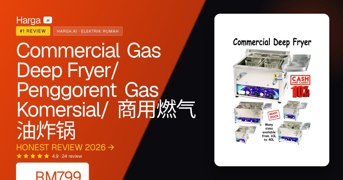Commercial Gas Deep Fryer/ Penggorent Gas Komersial/ 商用燃气油炸锅 review